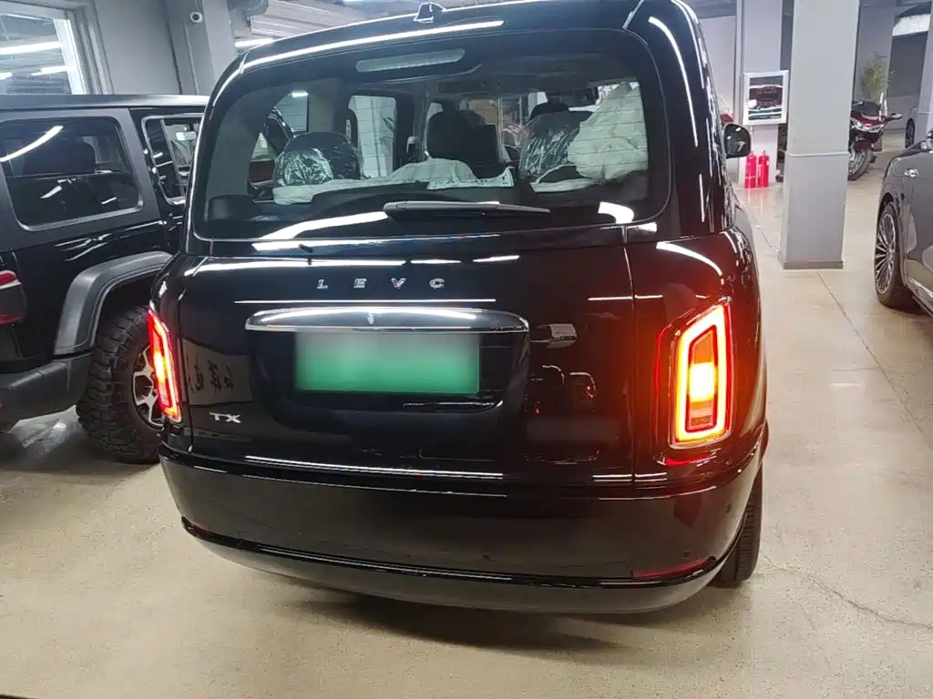 LEVC LEVC TX — миниатюра 6