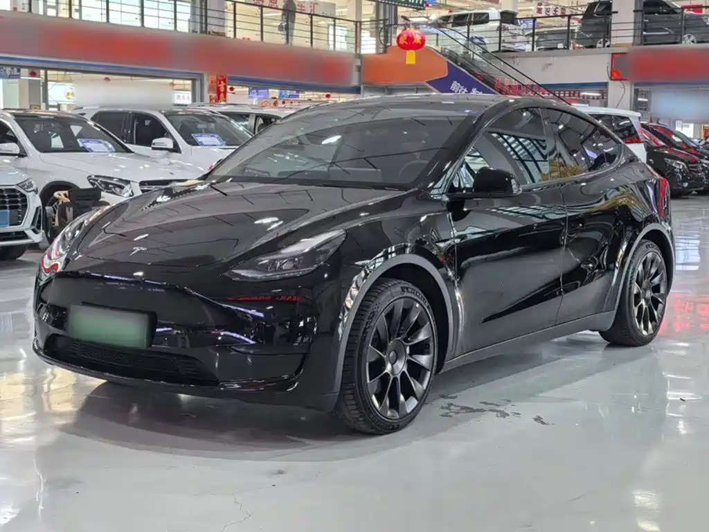Tesla Model Y — миниатюра 25