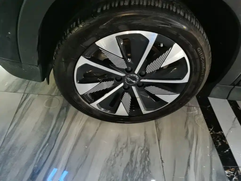 BYD PLUS New Energy — миниатюра 23