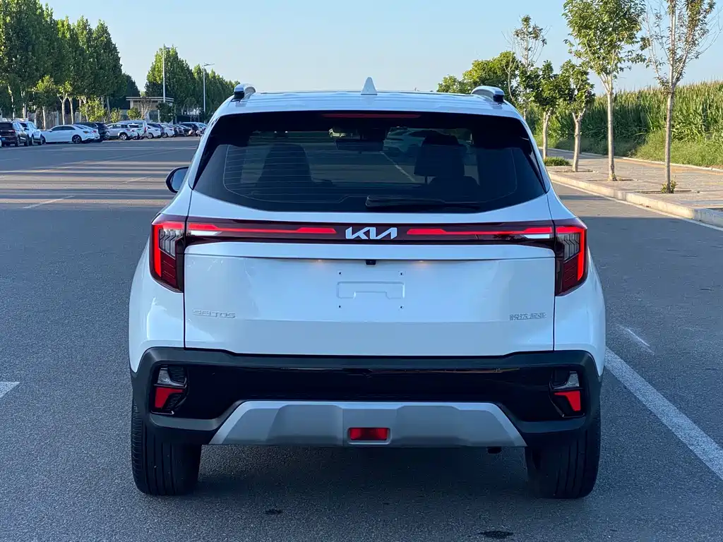 Kia Seltos — миниатюра 14
