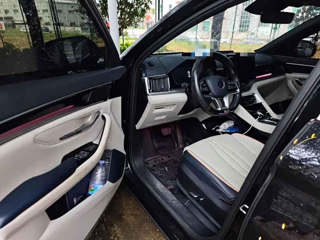BYD PLUS New Energy — миниатюра 17