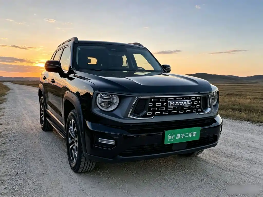 Haval Big Dog PLUS — миниатюра 4