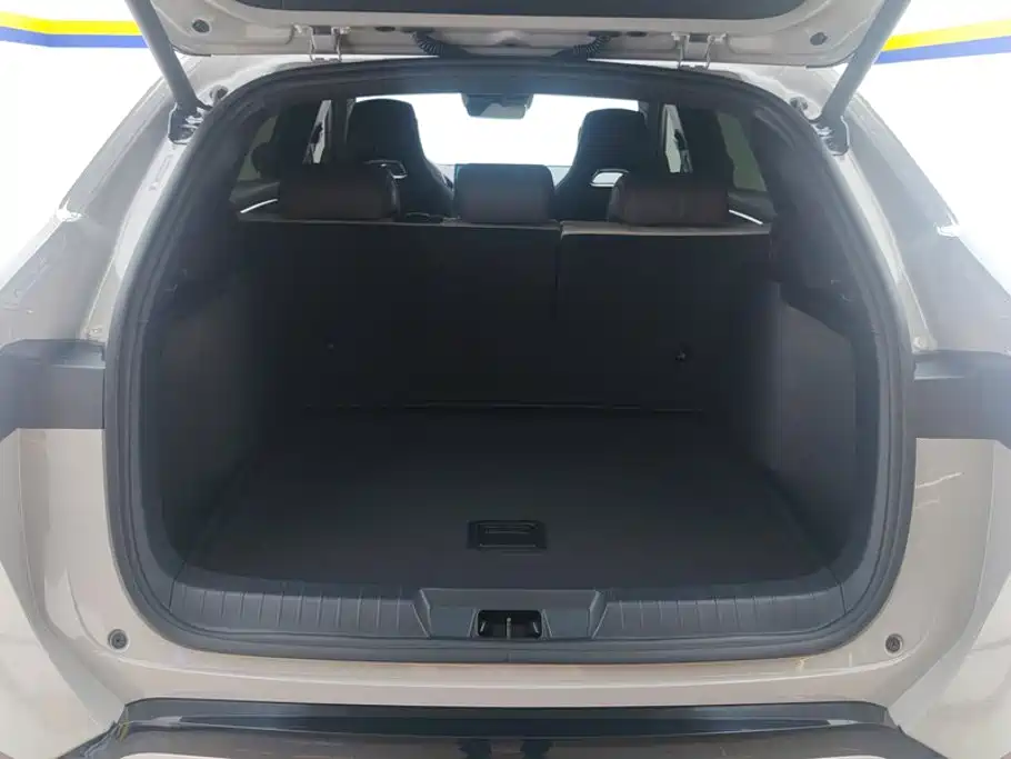 BYD PLUS New Energy — миниатюра 4