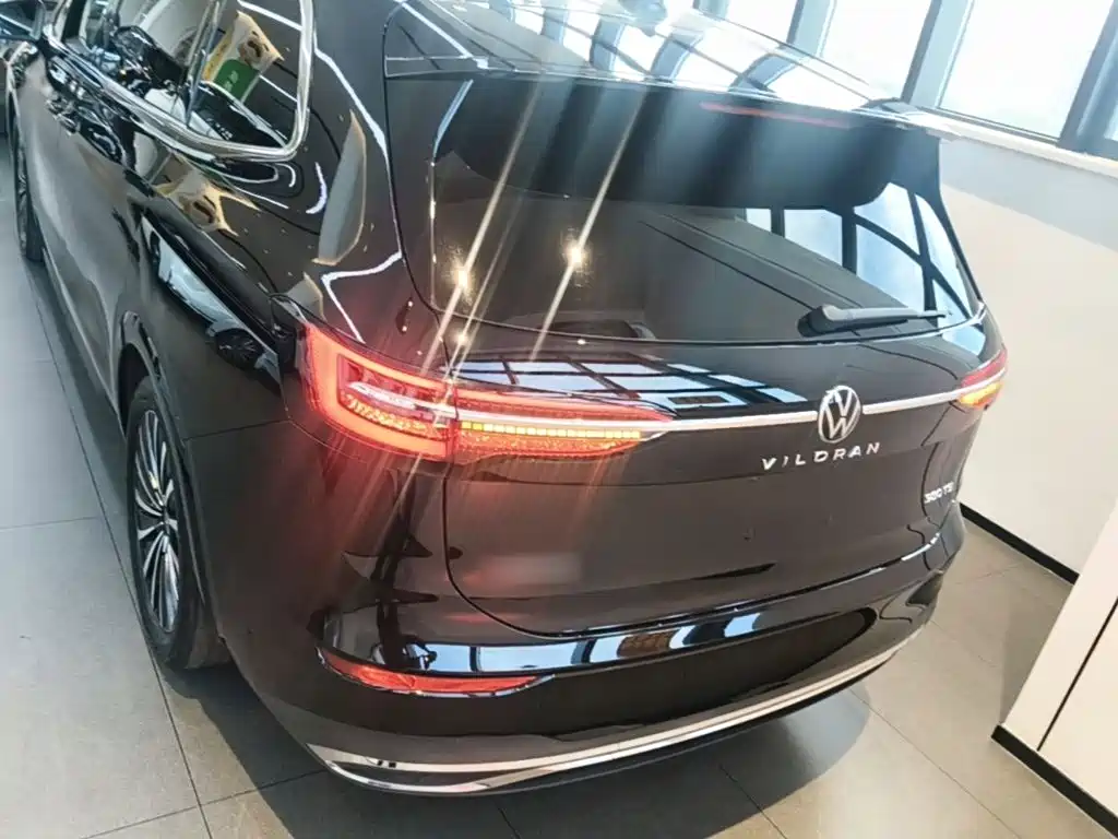 Volkswagen Viloran — миниатюра 6