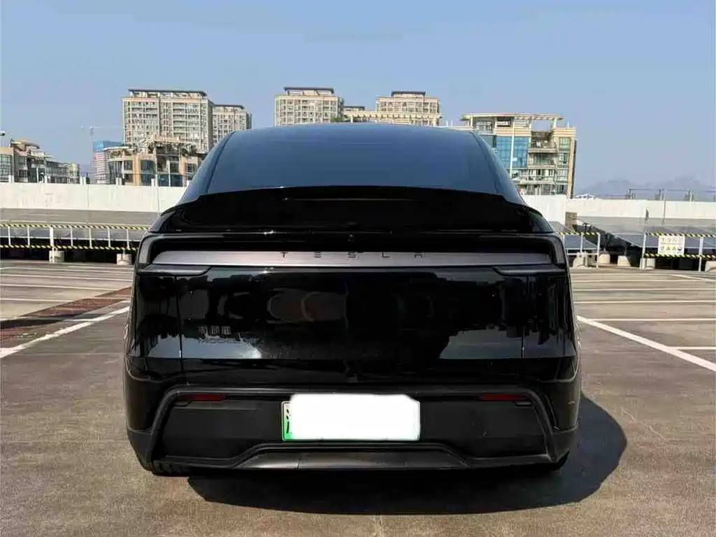 Tesla Model Y L — миниатюра 6