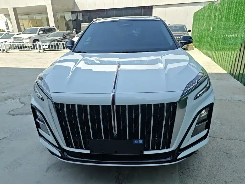 Hongqi Hongqi HS3 — миниатюра 3