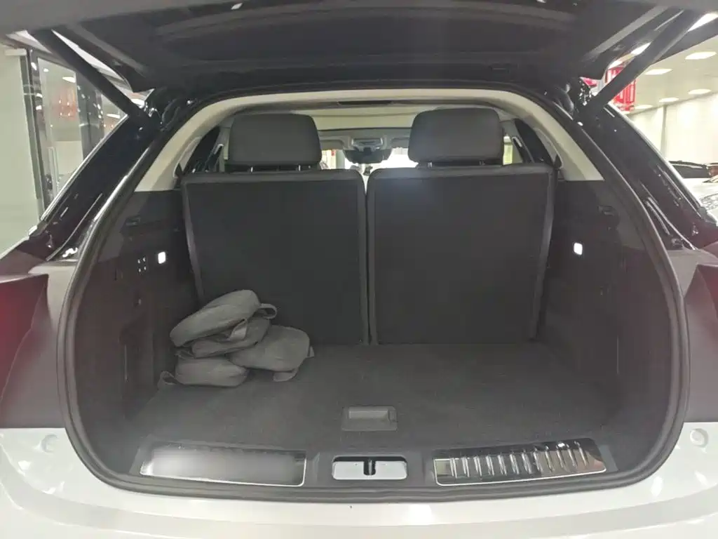 Hongqi Hongqi E-HS9 — миниатюра 19