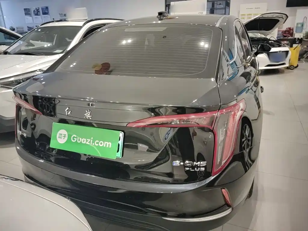 Hongqi Hongqi E-QM5 — миниатюра 6