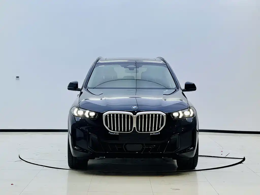 BMW X5 — миниатюра 2