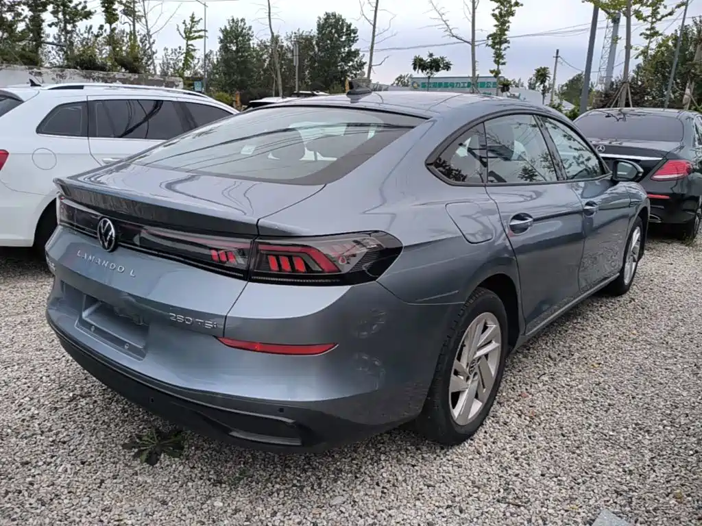 Volkswagen Lamando — миниатюра 7
