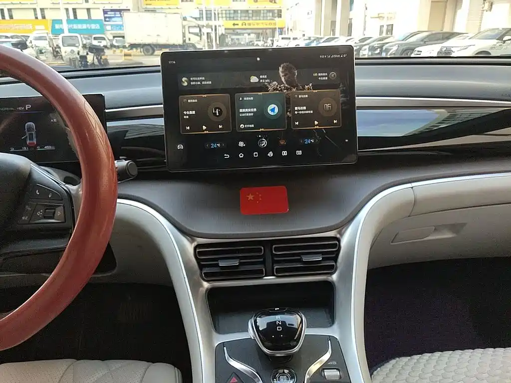 BYD Pro New Energy — миниатюра 6