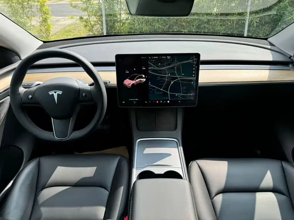 Tesla Model Y — миниатюра 7