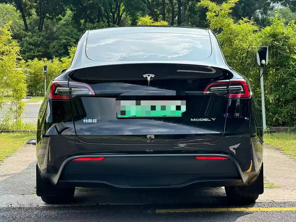 Tesla Model Y — миниатюра 10
