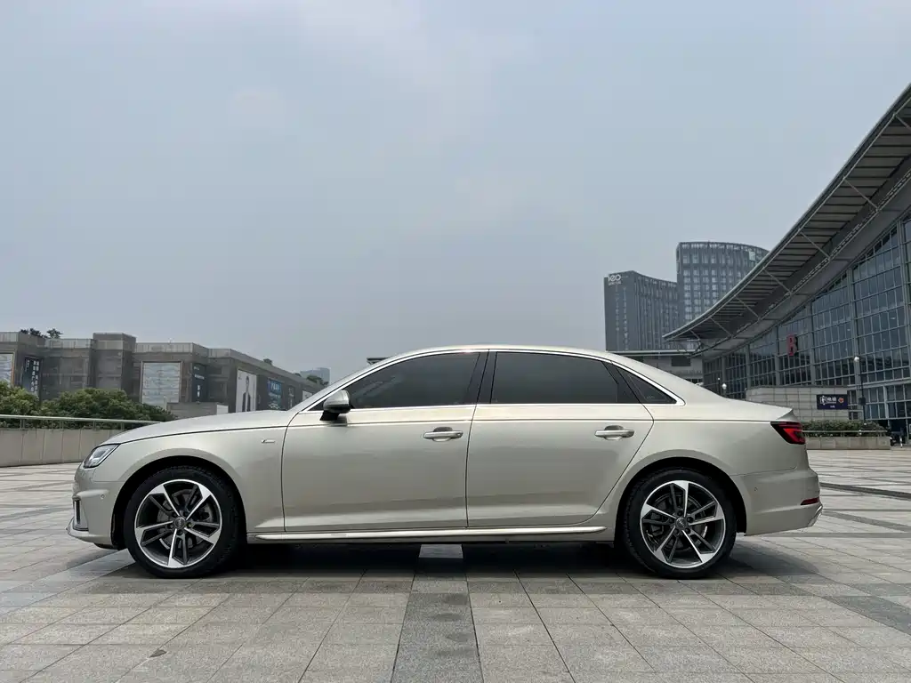 Audi A4L 2019 40 TFSI Fashion VI