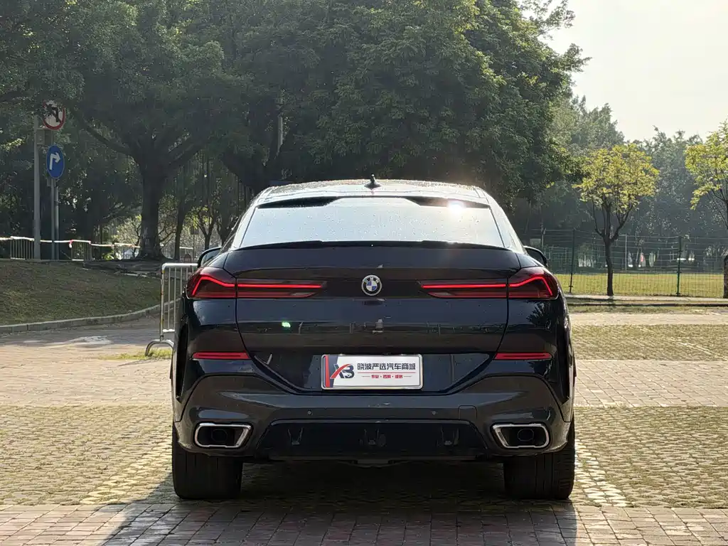 BMW X6 — миниатюра 8