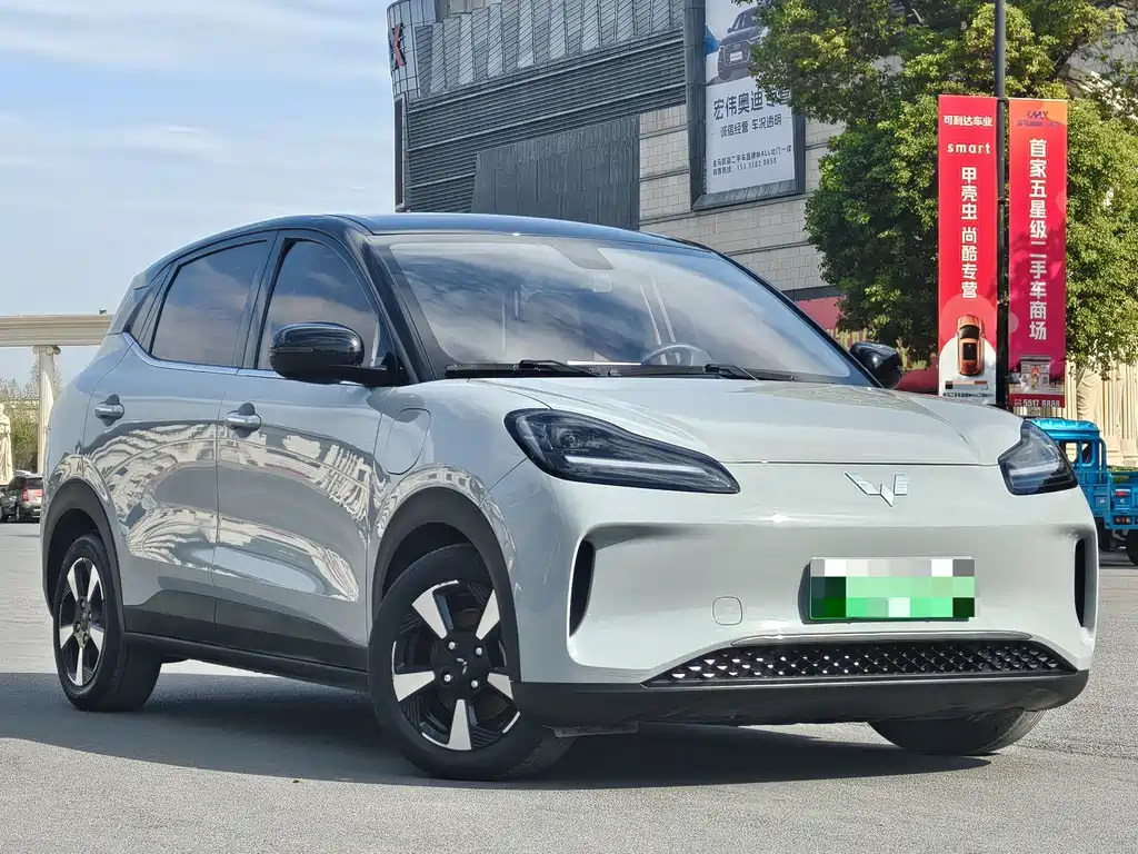Wuling BinguoPLUS PLUS 2024 510km Flagship мест