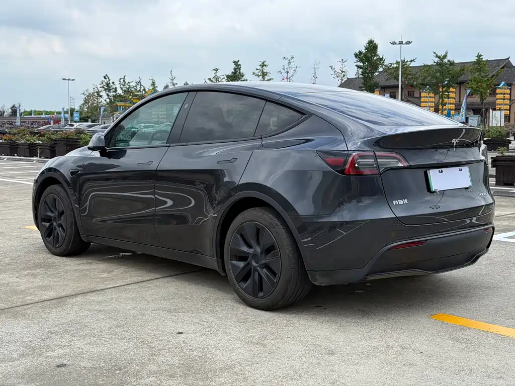 Tesla Model Y — миниатюра 3