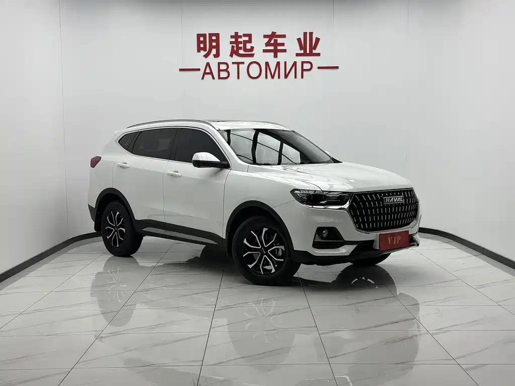 Haval H6 — миниатюра 2