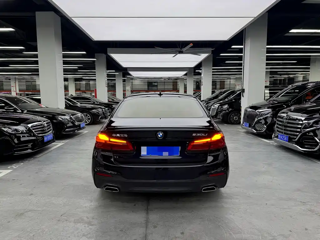 BMW 5 Series — миниатюра 16