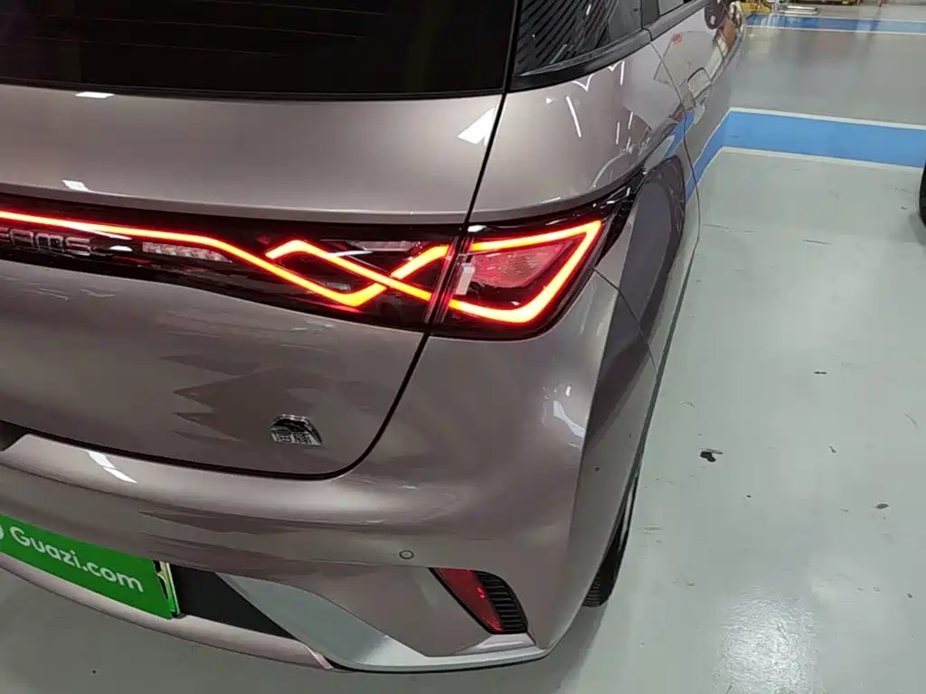 BYD Dolphin 2021 405km Fashion