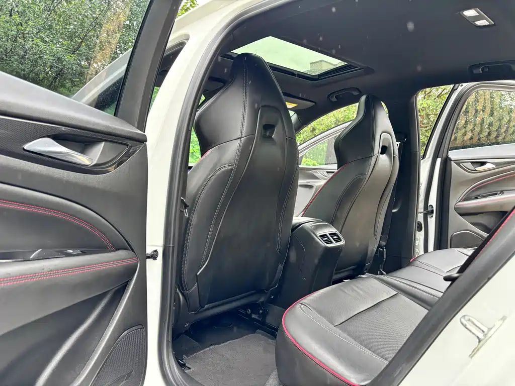 Buick Regal — миниатюра 10