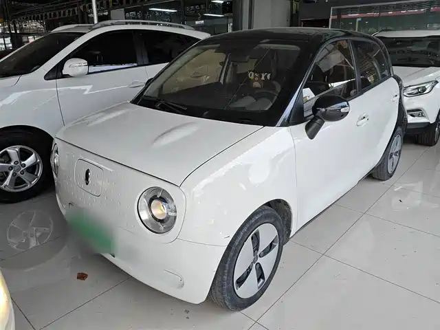 EULER  BLACK CAT 2019