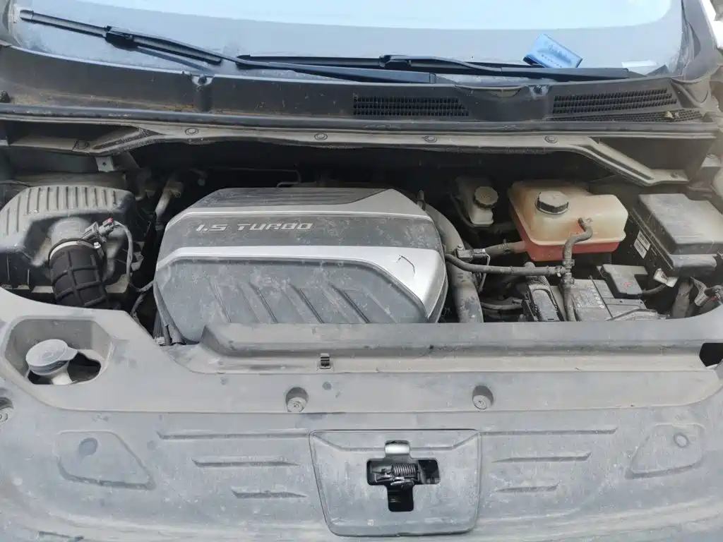 MAXUS G50 — миниатюра 16