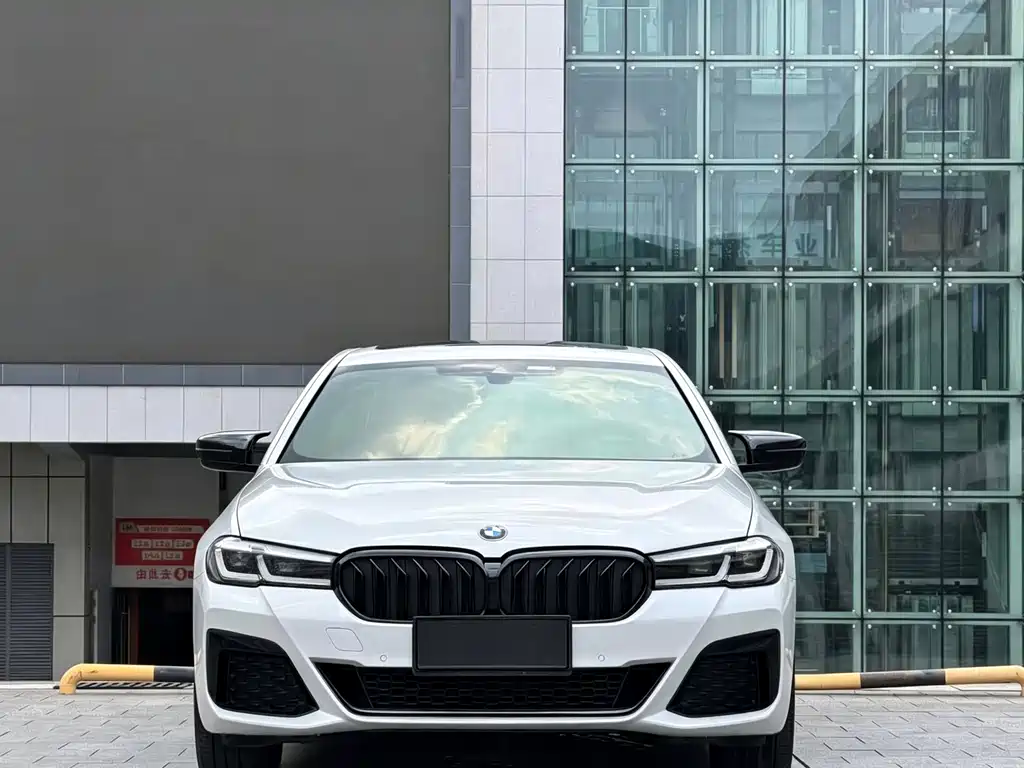 BMW 5 Series — миниатюра 2