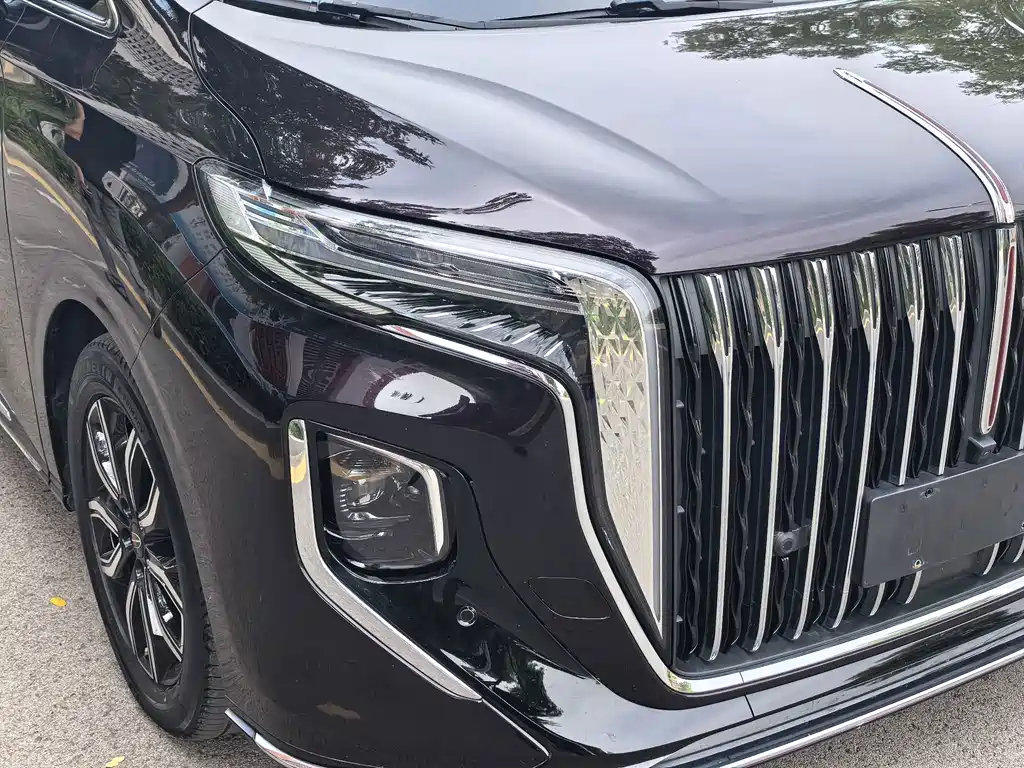 Hongqi Hongqi HQ9 — миниатюра 21