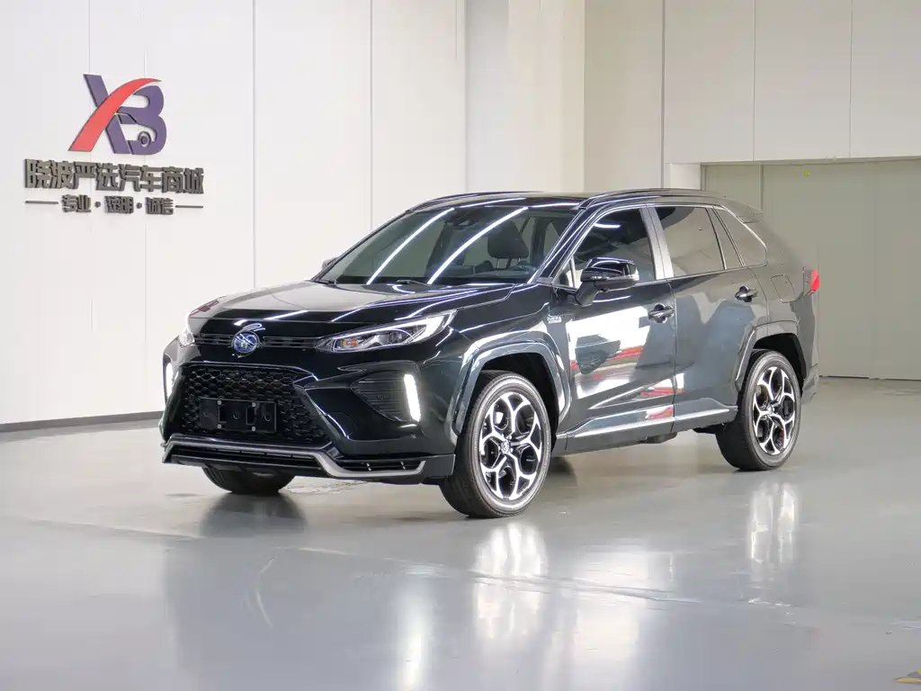 Toyota Wildlander New Energy