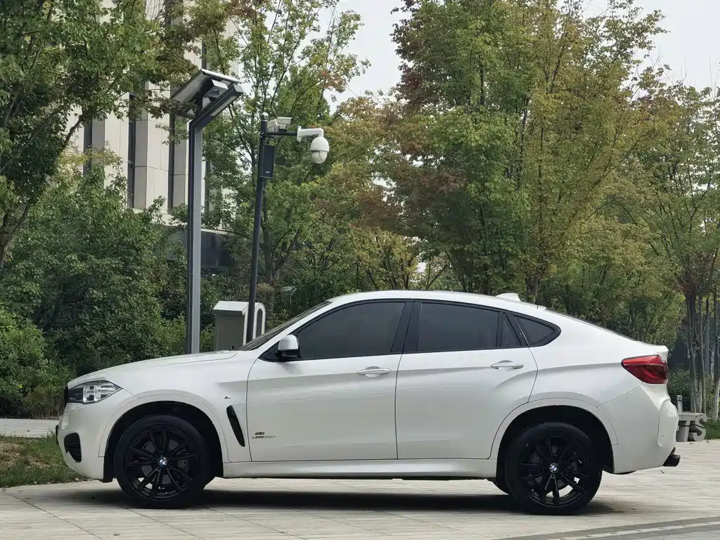 BMW X6 — миниатюра 7