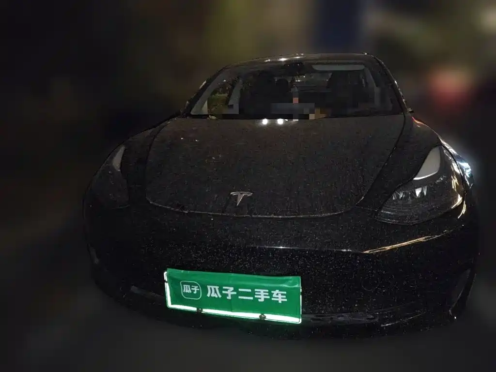 Tesla Model 3 — миниатюра 2