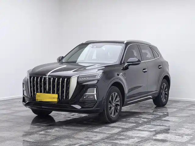 2024 Hongqi HS5