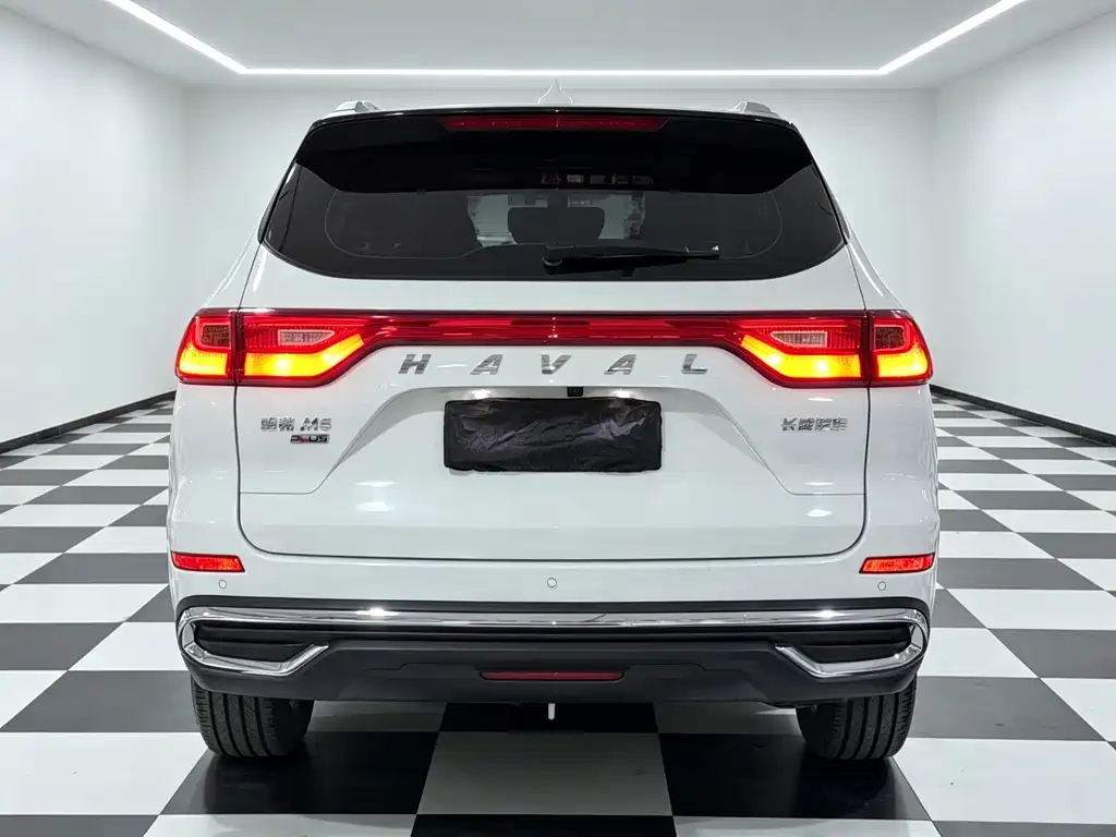 Haval M6 — миниатюра 9
