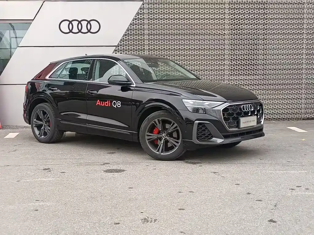 Audi Q8 2024 55 TFSI Luxury