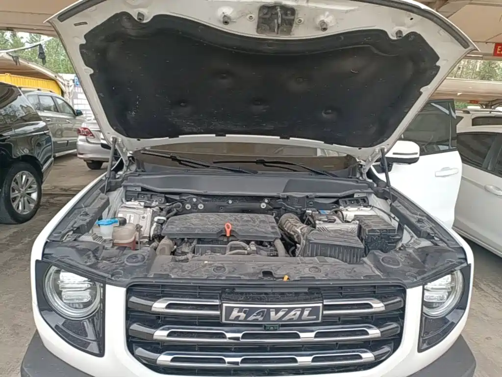 Haval Big Dog — миниатюра 20