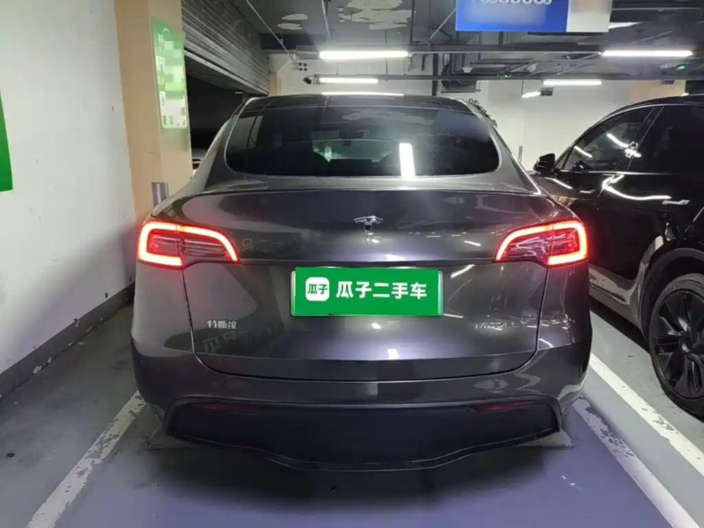 Tesla Model Y — миниатюра 6