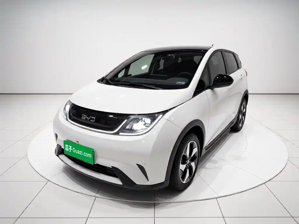 BYD Dolphin — миниатюра 2