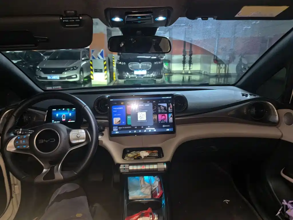 BYD Dolphin — миниатюра 13