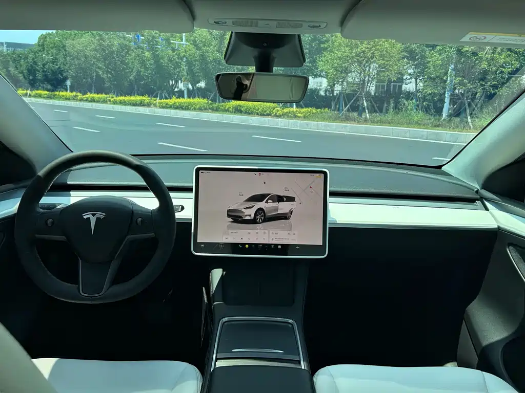 Tesla Model Y — миниатюра 6