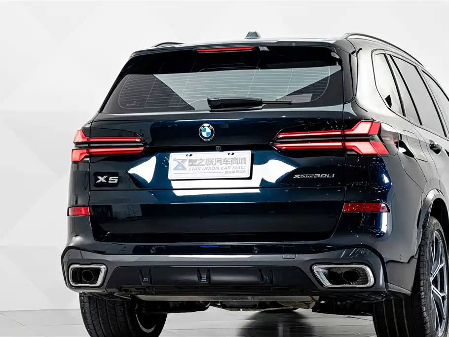 BMW X5 — миниатюра 7