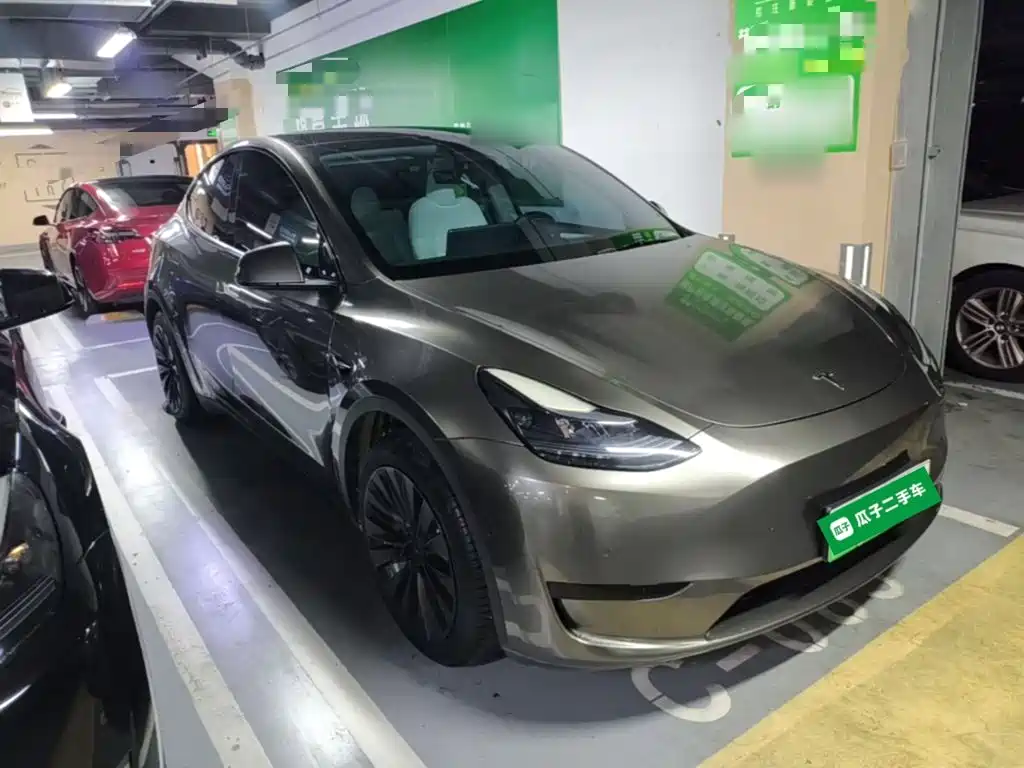 Tesla Model Y — миниатюра 4