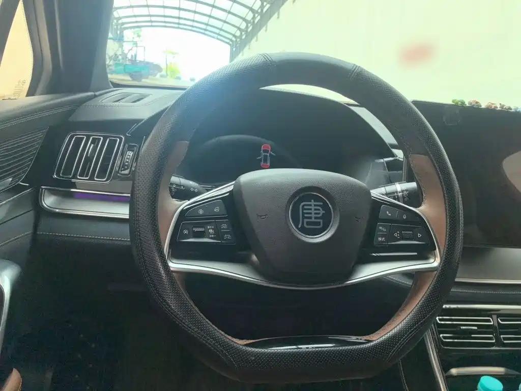 BYD Tang New Energy — миниатюра 11