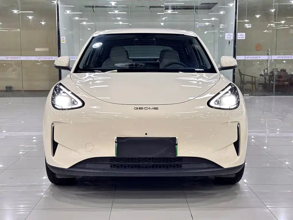 Geely Geome Xingyuan 2025 310km