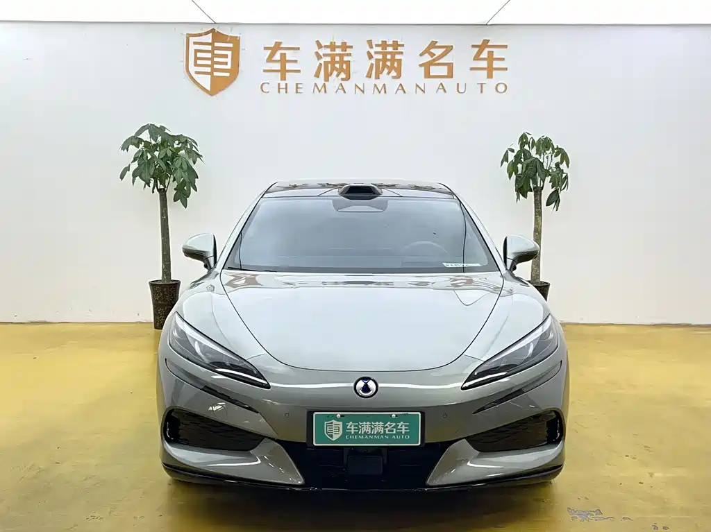 Denza Denza Z9GT — миниатюра 2