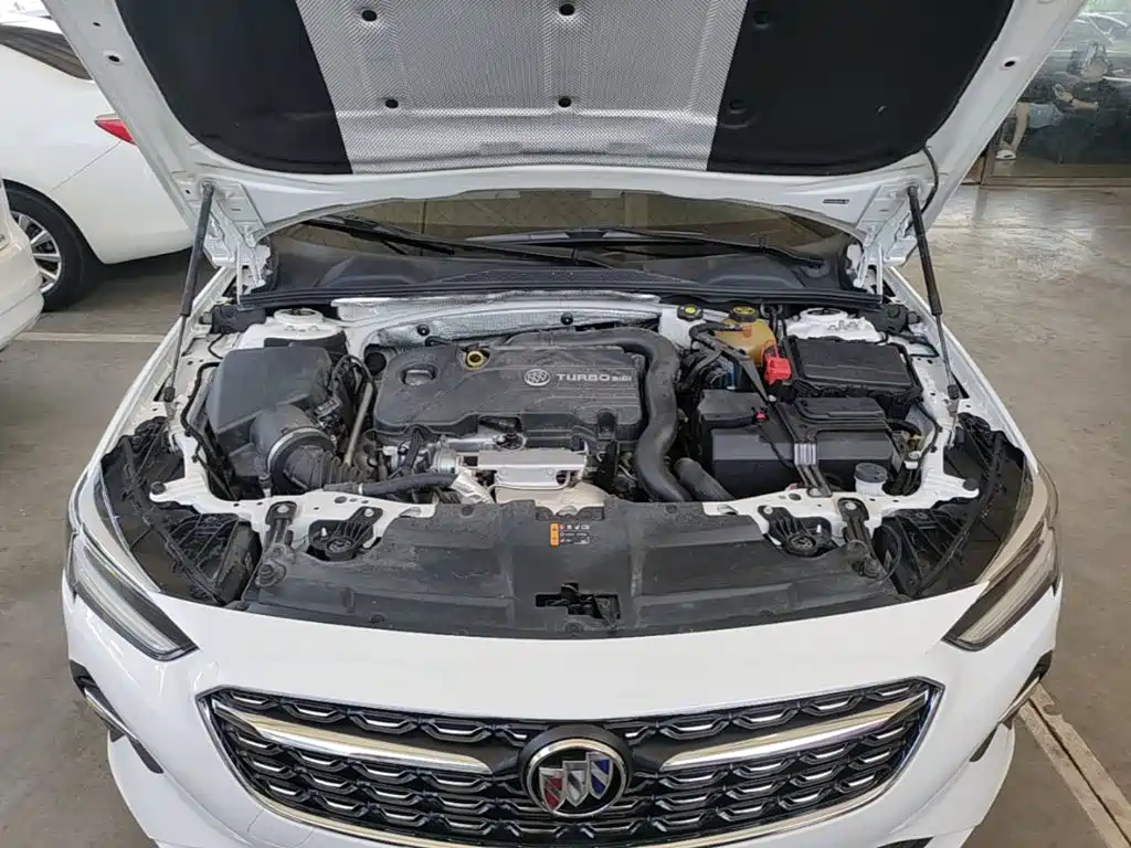 Buick Regal — миниатюра 20