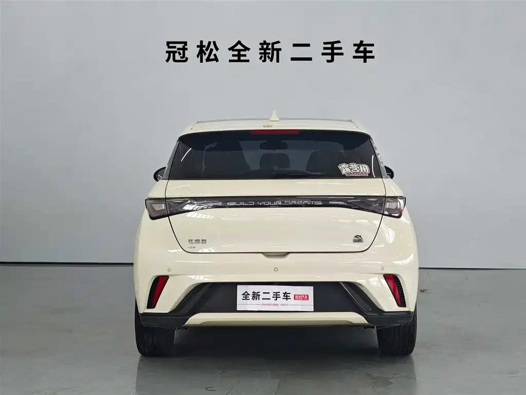 BYD Dolphin 2023 420km Fashion