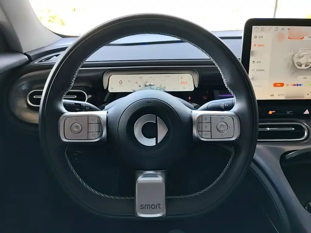 smart Smart #1 — миниатюра 11