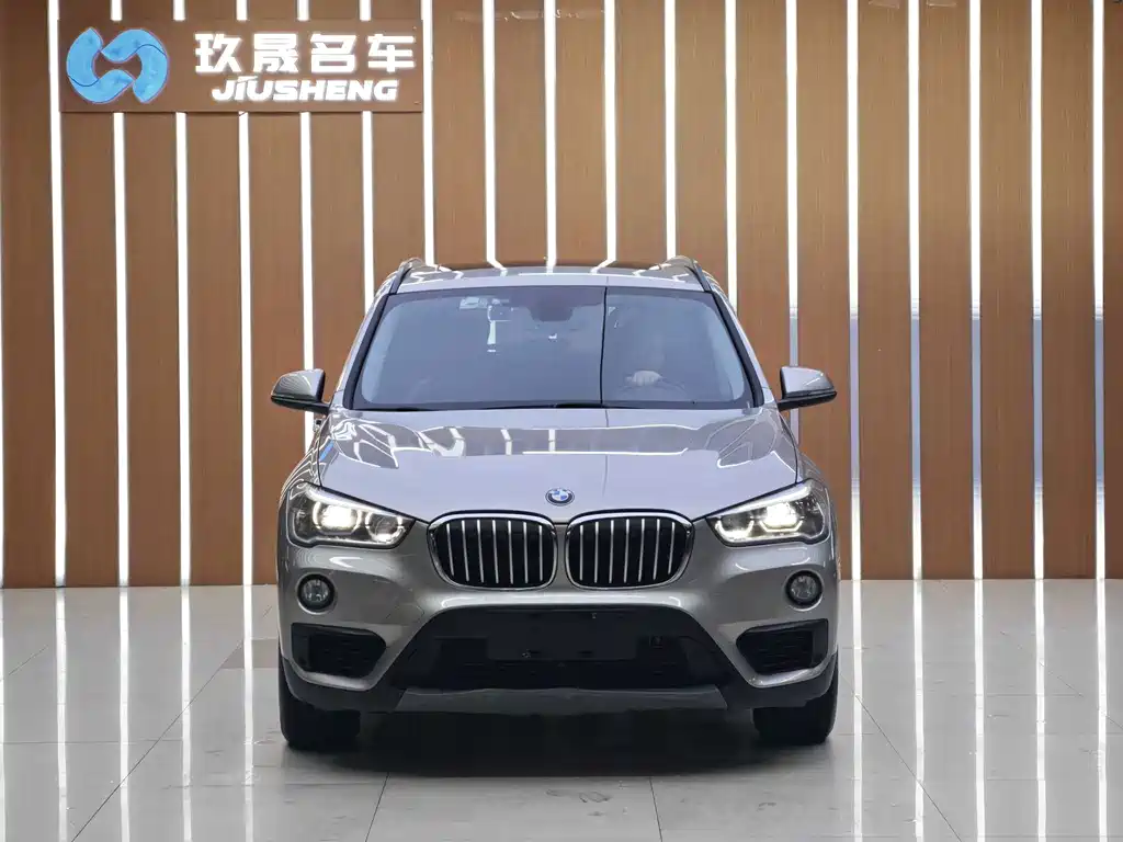BMW X1 — миниатюра 2