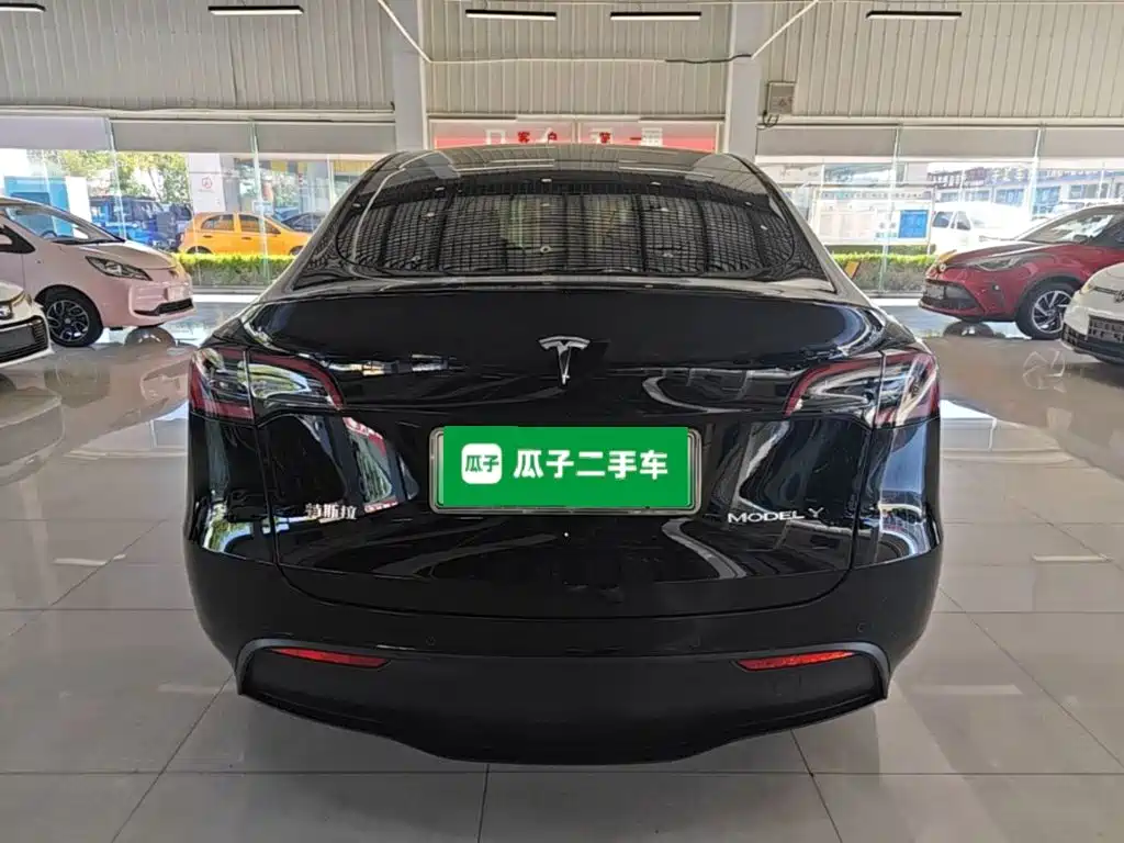 Tesla Model Y — миниатюра 6